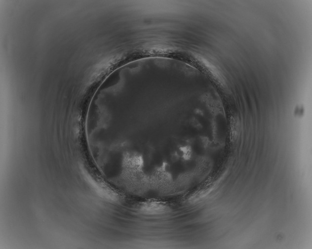 X0000090860451200707271232