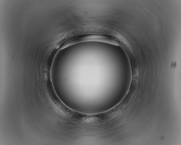 X0000090860452200707271232