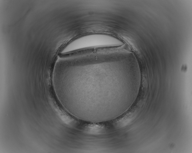 X0000090860453200707271232