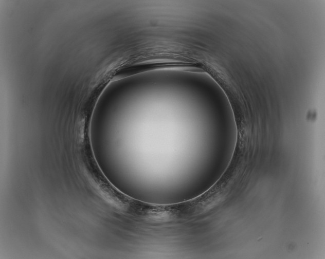 X0000090860454200707271232