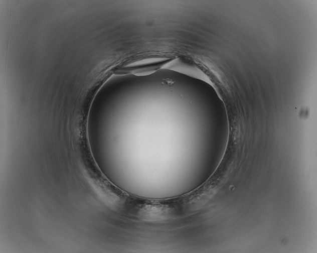 X0000090860455200707271232