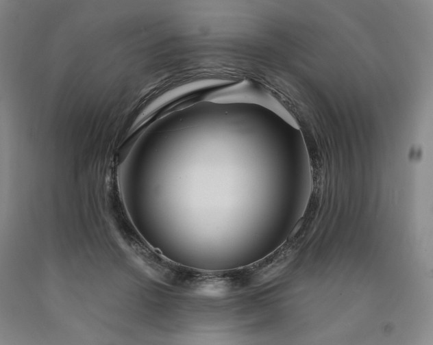 X0000090860456200707271232