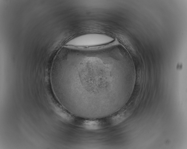 X0000090860457200707271232