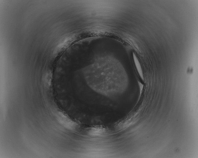 X0000090860458200707271232