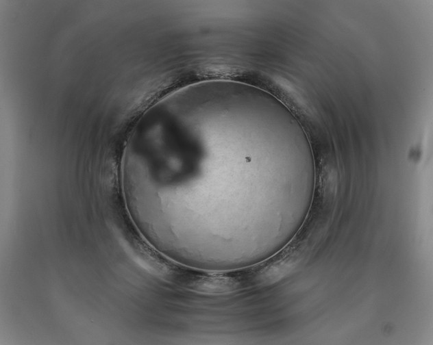 X0000090860459200707271232