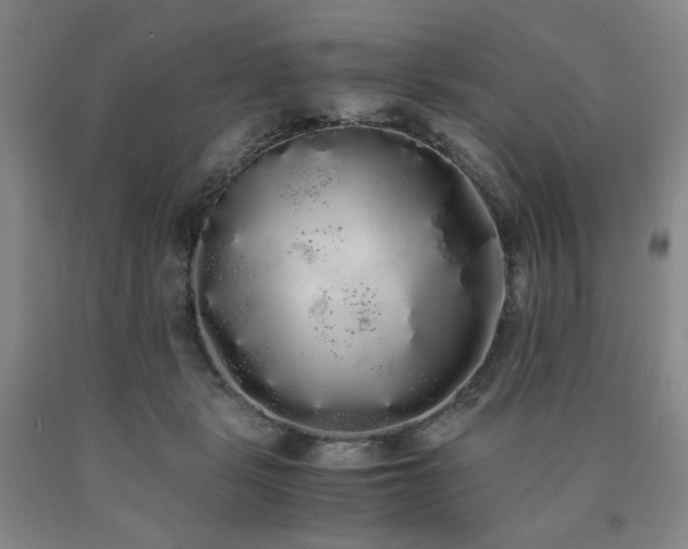 X0000090860461200707271232