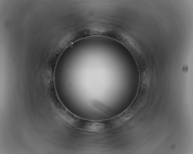 X0000090860463200707271232