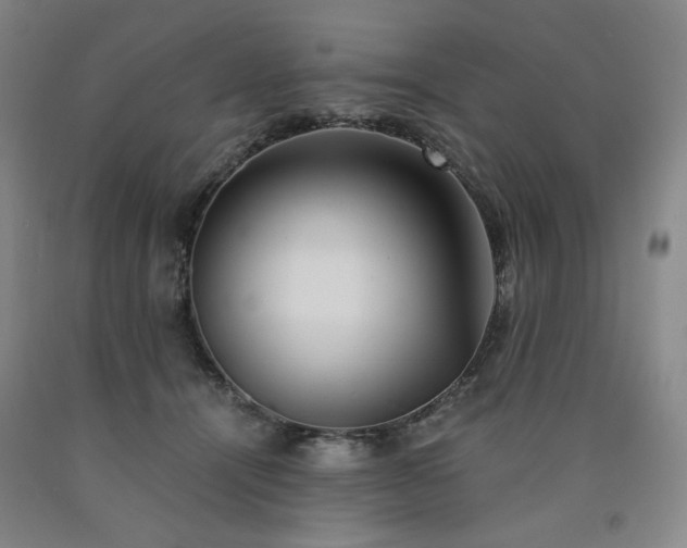 X0000090860464200707271232
