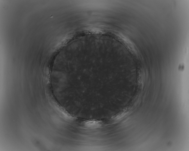 X0000090860465200707271232