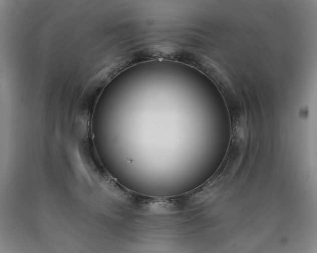 X0000090860468200707271232