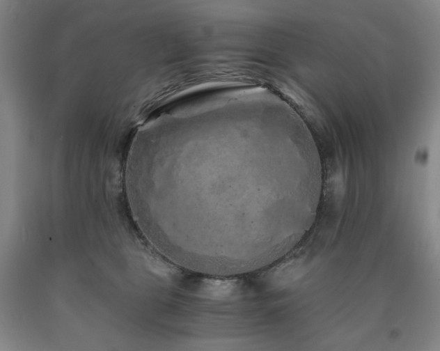 X0000090860469200707271232