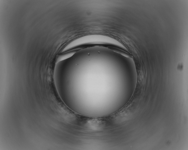X0000090860470200707271232