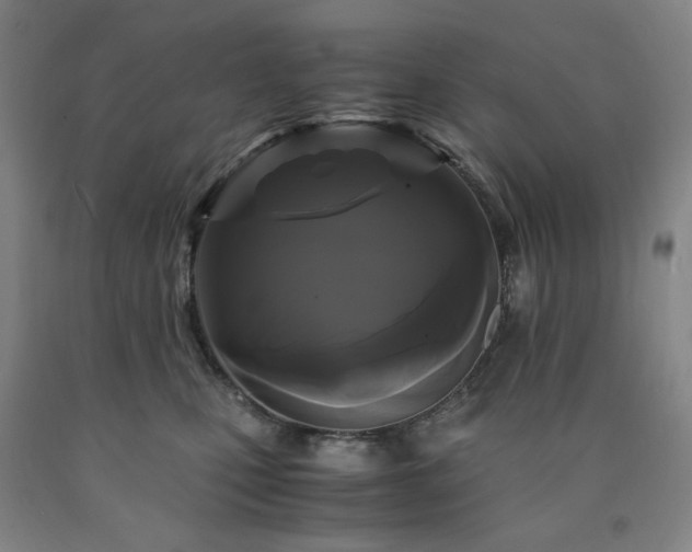 X0000090860471200707271232