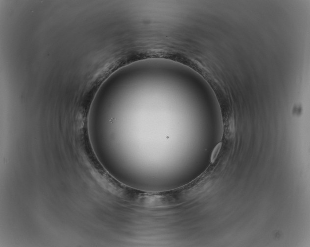X0000090860472200707271232