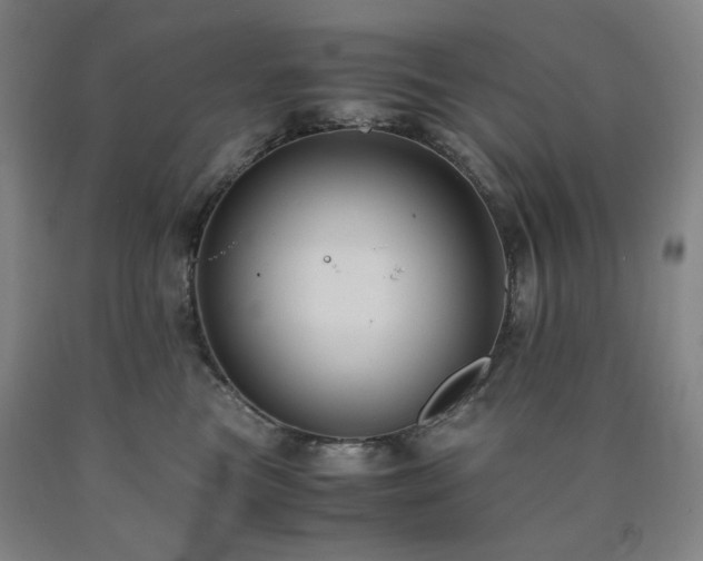 X0000090860473200707271232