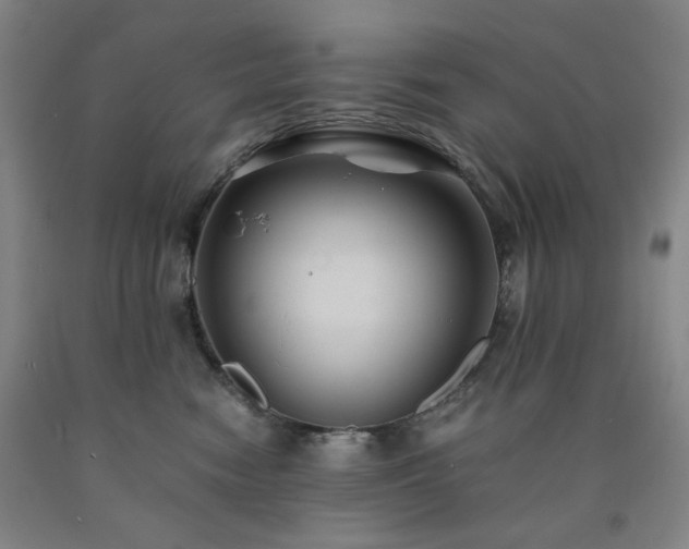 X0000090860474200707271232