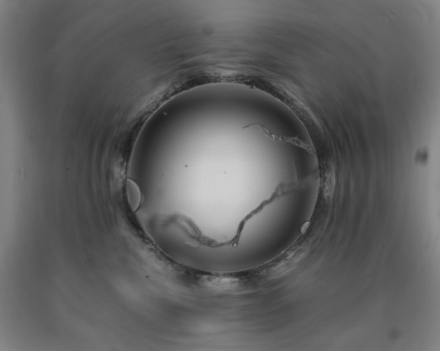 X0000090860476200707271232
