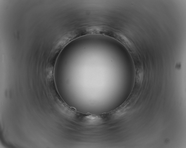 X0000090860477200707271232