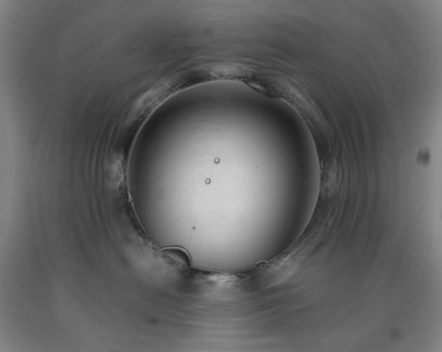 X0000090860478200707271232