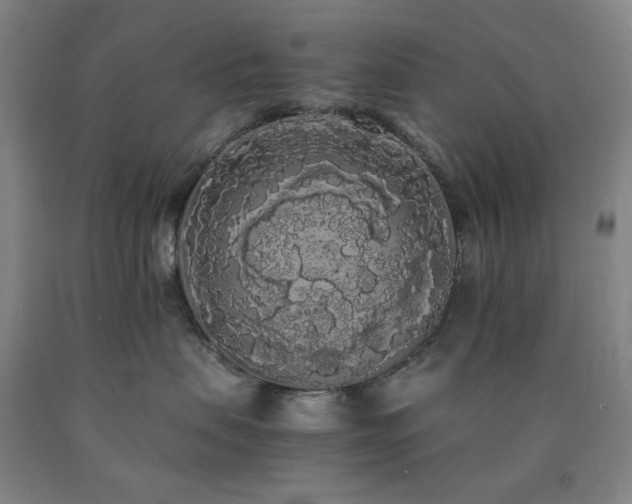 X0000090860479200707271233