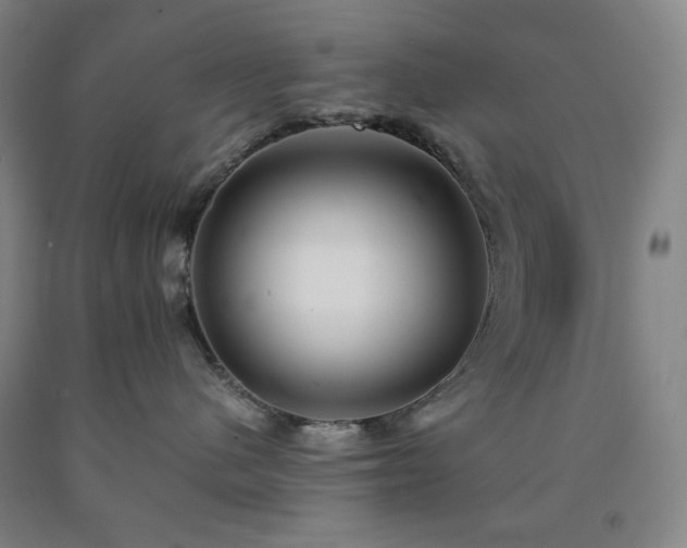 X0000090860480200707271233