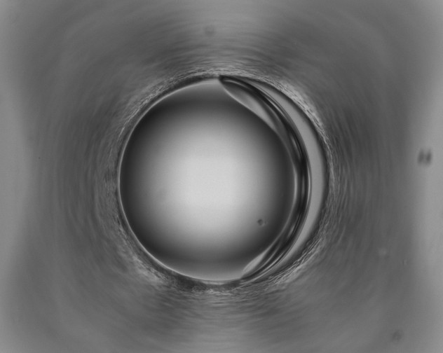 X0000090860481200707271232