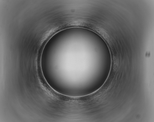 X0000090860482200707271232