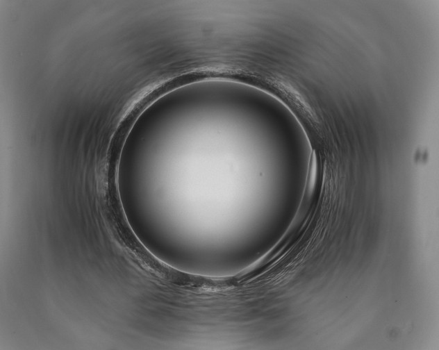 X0000090860484200707271232