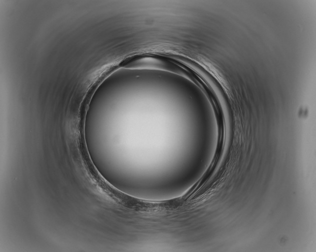 X0000090860485200707271232