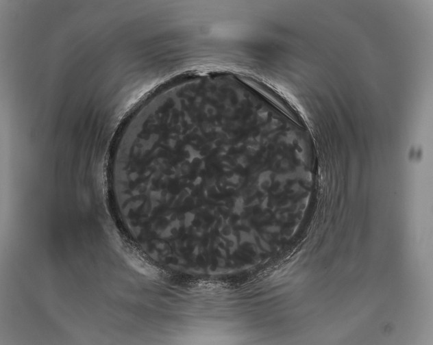 X0000090860487200707271232