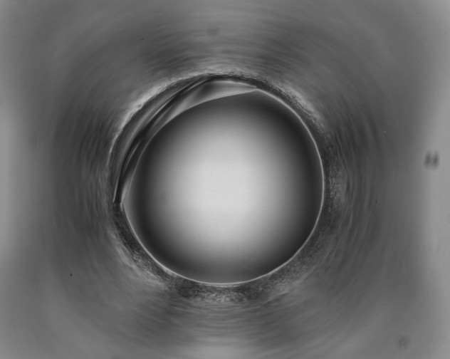 X0000090860488200707271232