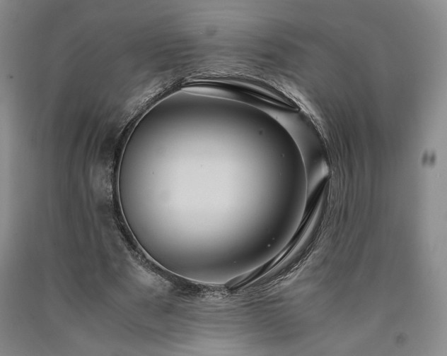 X0000090860489200707271232