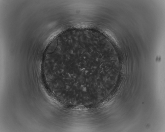 X0000090860491200707271232