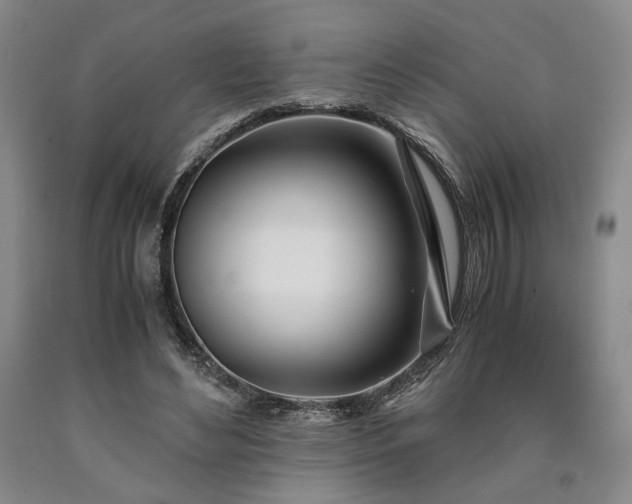X0000090860492200707271232