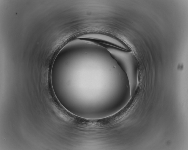 X0000090860493200707271232