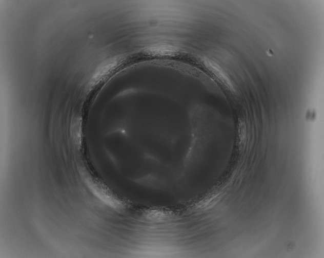 X0000090860494200707271232