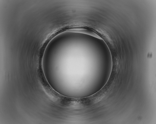 X0000090860496200707271232