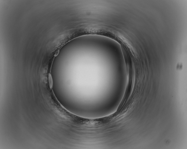 X0000090860497200707271232