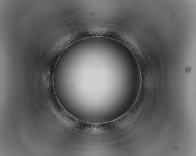 X0000090860498200707271232