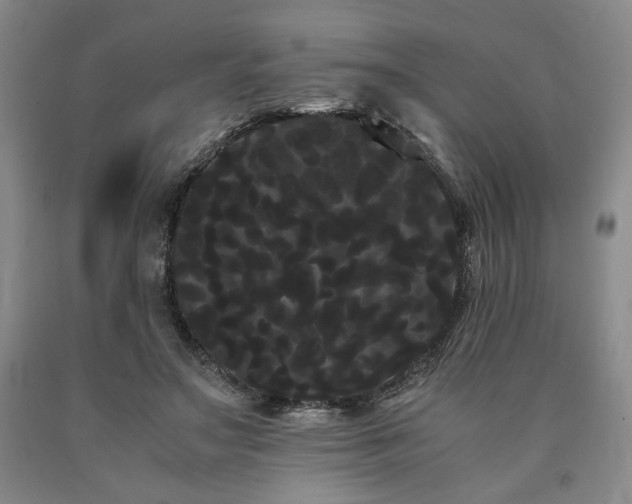 X0000090860499200707271232