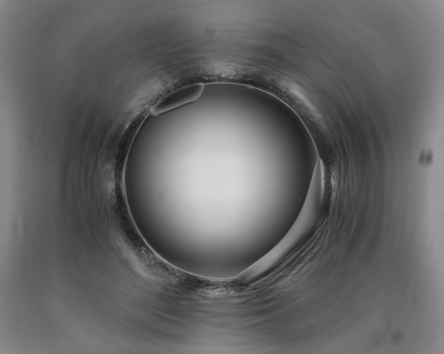 X0000090860500200707271231