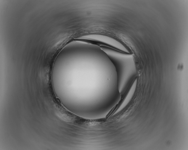 X0000090860501200707271231