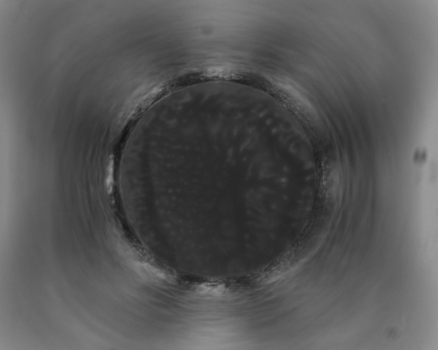 X0000090860502200707271231