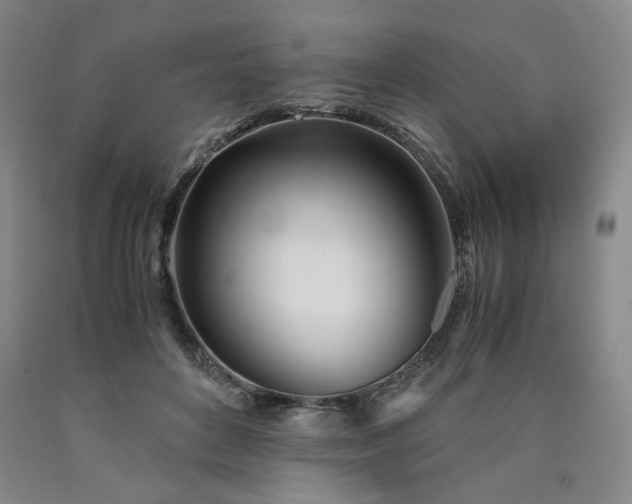 X0000090860504200707271231