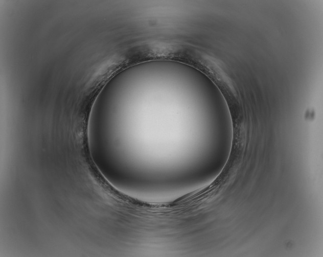 X0000090860505200707271231