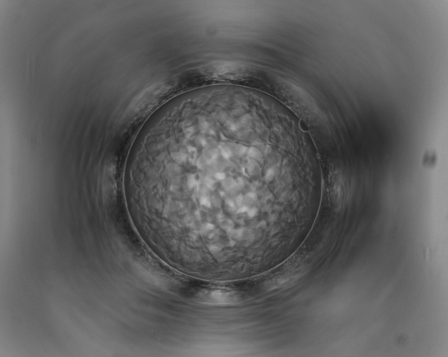 X0000090860506200707271231
