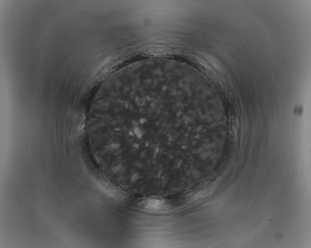 X0000090860507200707271231