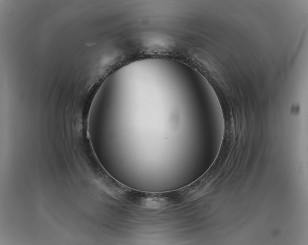X0000090860508200707271231