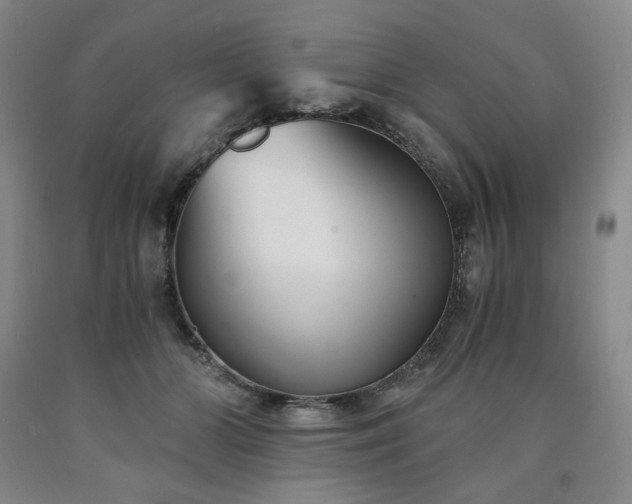 X0000090860510200707271231