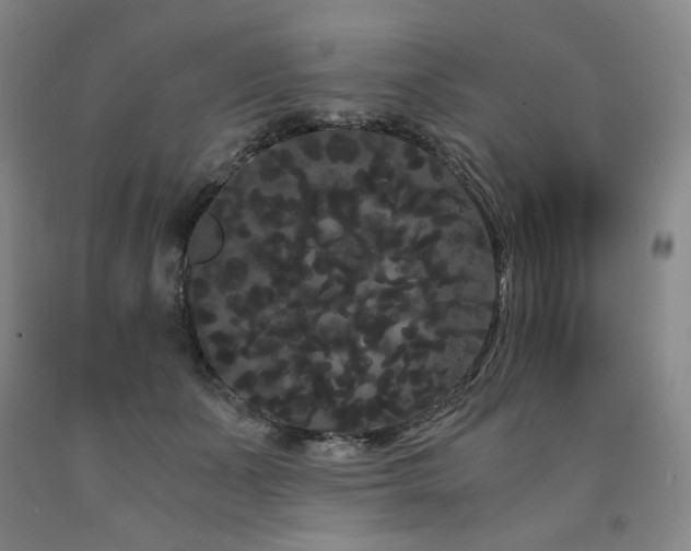 X0000090860511200707271231